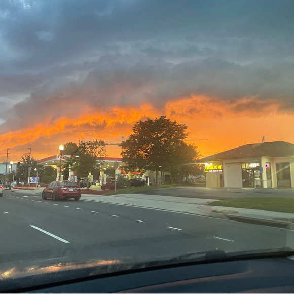 Meet your Posher, Lici - Picture 1 of 1